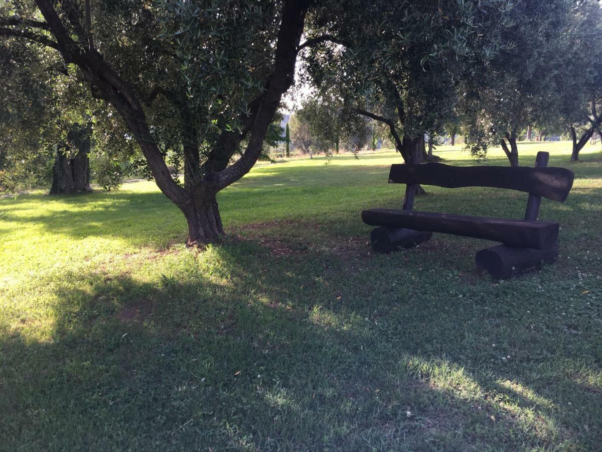 Corbezzolo Acomodação com café da manhã Vallo della Lucania Exterior foto
