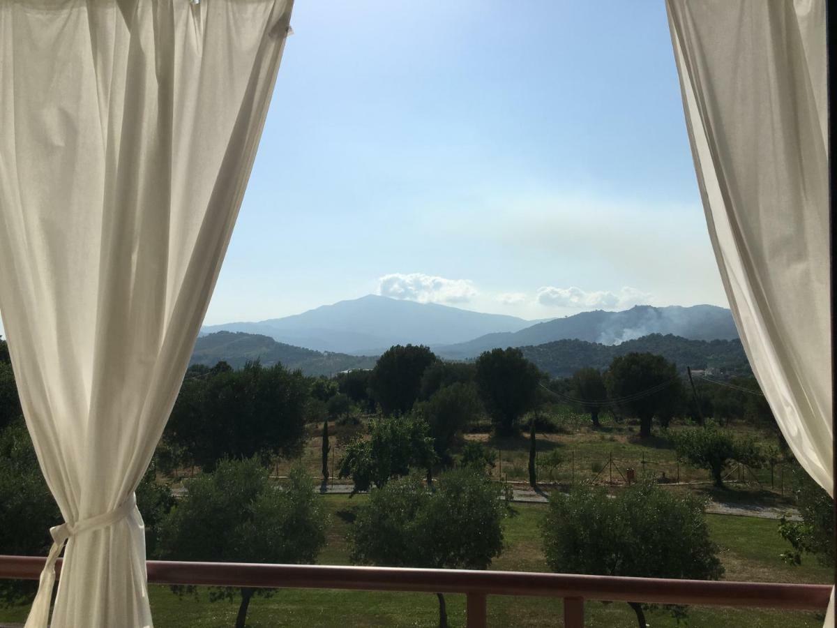Corbezzolo Acomodação com café da manhã Vallo della Lucania Exterior foto